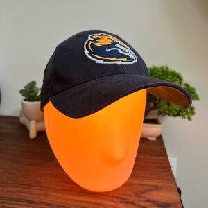 Adrenaline Source for Sports Wolverines Ball Cap with Embroidered Logo